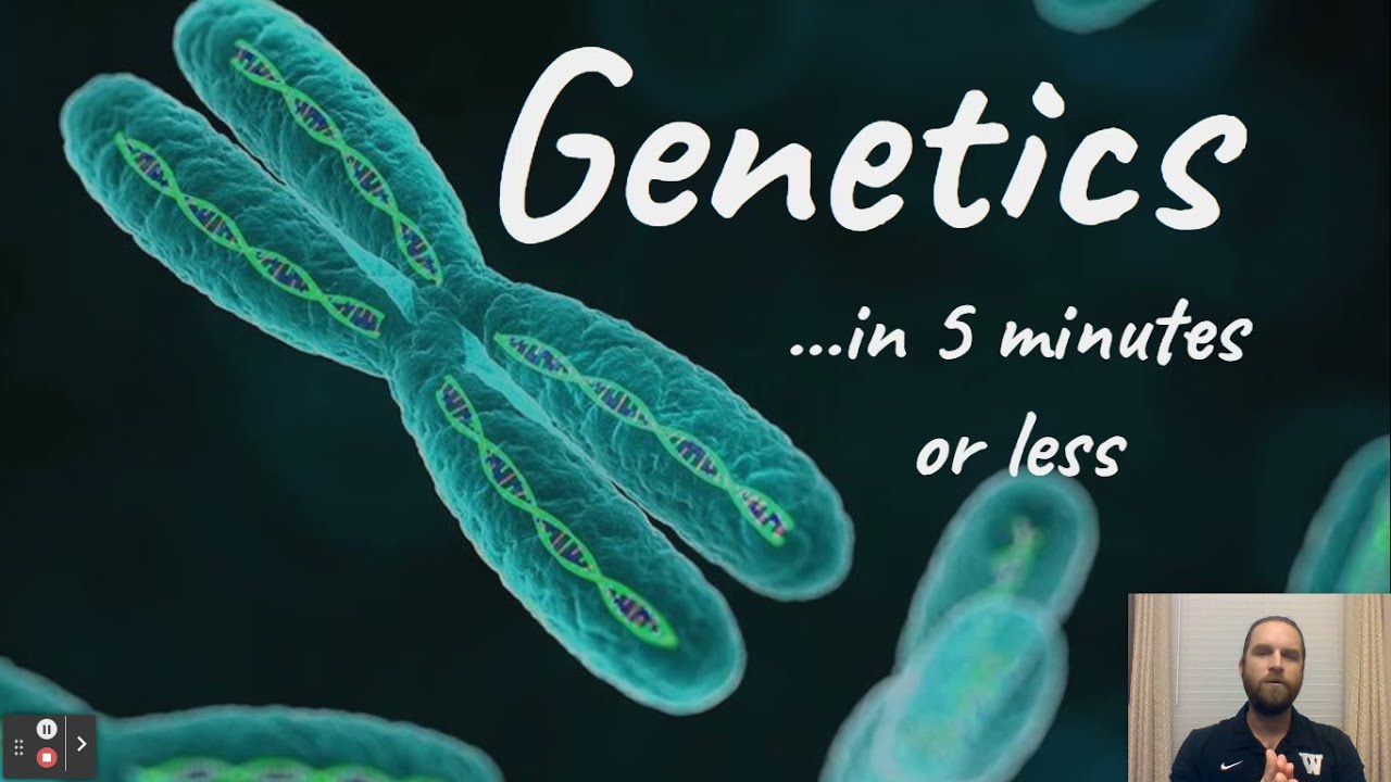 5 min Biology: GENETICS