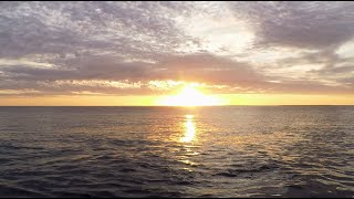 Download lagu LaRoxx Project - Sunshine Love (SandRock  2019) [Remix] mp3