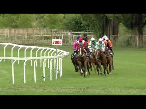 2.  dostih – Cena společnosti TMM - Video záznam CPI PG České derby 2018 v Chuchli