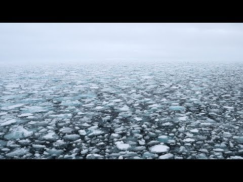 It's Arctic Sea Ice Day!