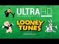 LOONEY TUNES CARTOONS COMPILATION Bugs Bunny Daffy Duck And More Ultra HD 4K