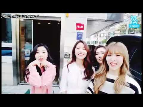 [ENG SUB] 051816 MAMAMOO V TV #37 It's Our 700th Day Anniversary!!