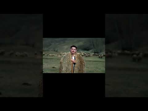 Jiana Ciobănească 2026! 🐑💃 Nelu Popa - Voce și Tradiție 🎤 #Jiana #Ciobanie #Voce