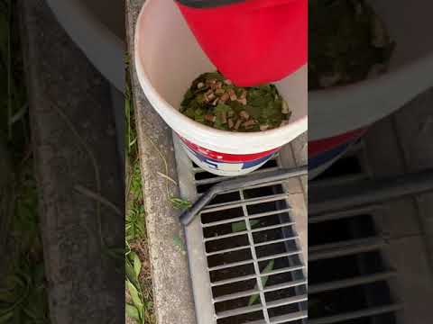 粉砕の意味は何ですか 細断 粉砕ミックス 振りかける 土壌を豊かにする