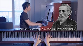 Lieb' Schwersterlein (Dear Little Sister) Op.32 no.14 by Robert Fuchs - Ronald Lau