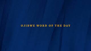Boodawazo = S/he builds a warming fire (Ojibwe Word of the Day)