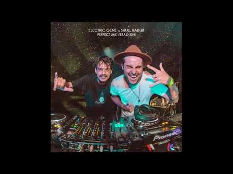 SKULL RABBIT vs ELECTRIC GENE - Live Set@Perfect Line 2018 [Psychedelic Trance]