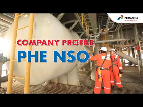 Company Profile PHE NSO