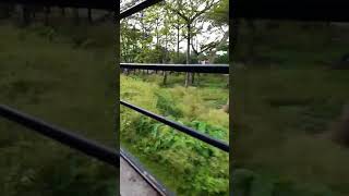 Download lagu char din ka safar hai zindagi.. mp3 Download lagu char din ka safar hai zindagi.. mp3