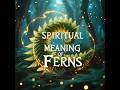🌿 Discover the Hidden Spiritual Meaning of Ferns – Ancient Wisdom, Magical Uses & Forgotten Lore!