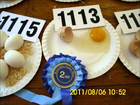 DUNS SHOW 2011,,OUR FIRST TIME SHOWING OUR BIRDS AND EGGS,,AND DIDNT WE DO WELL!!!!!
