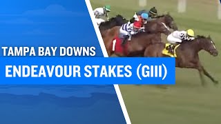 2025 $175,000 Endeavour Stakes (G3) at Tampa Bay Downs
