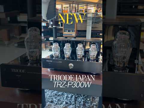 Triode Japan TRZ-P300W 300B Tube Amplifier