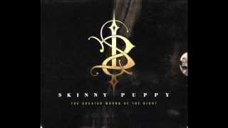 Skinny Puppy - Past Present