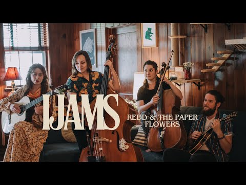 Play Video Youtube Video