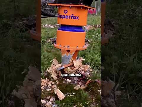 Удаление пня #факты #технологии #строительство