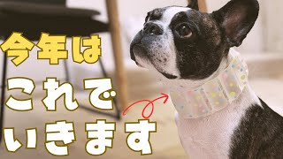 我が家のフレブル暑さ対策しました！✨
