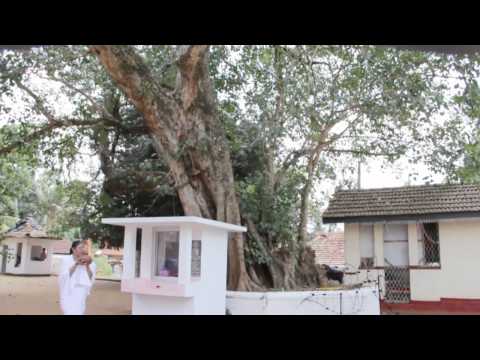 AAAAAAAA.Sudu weli maluwe-Nimal Gunasekara