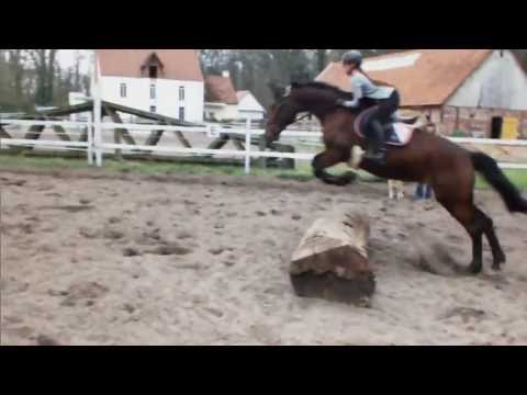 it's not gonna be easy - it's gonna be really hard