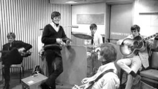 Herman&#39;s Hermits-Hold On