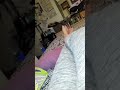 More Painful Cramping From CFS Cramp Fisciculation Syndrome Genetic Disorder So Painful Tizanadine