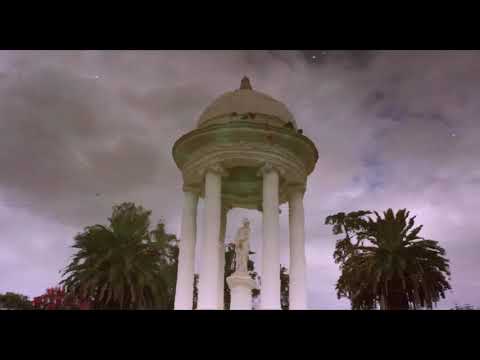 El mundo entero - Tráiler