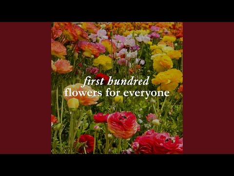 image-Who owns flowers for everyone?
