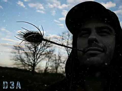 DARASKA - Something More