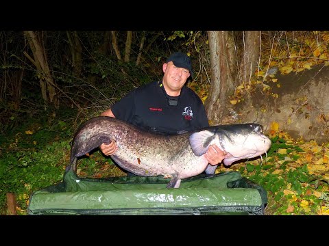 Karpfenangeln VTB 53 - Herbstsession am kleinen Fluss