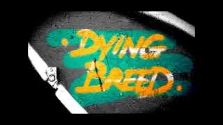Dying Breed - Sherwood Days