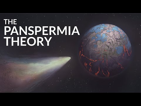 Did Life on Earth Come From Outer Space?