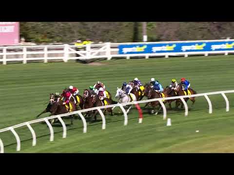 Thousand Guineas 2025 - OLE DANCER (3YO SW G1 F) Group 1 Caulfield 18 October