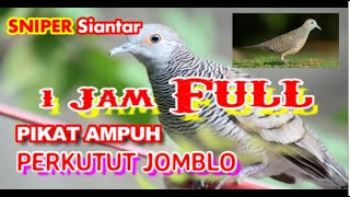 Download lagu SUARA PIKAT PERKUTUT JOMBLO, JERNIH NYARING DURASI 1 JAM FULL, TERBUKTI AMPUH | SNIPER Siantar mp3 Download lagu SUARA PIKAT PERKUTUT JOMBLO, JERNIH NYARING DURASI 1 JAM FULL, TERBUKTI AMPUH | SNIPER Siantar mp3