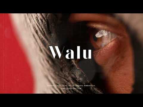 Wizkid x Stromae Type Beat - "Walu" | Afrobeat Type Beat 2023