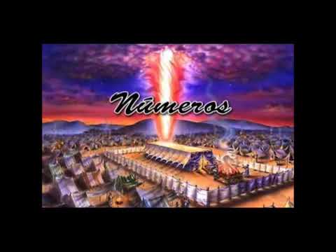 12  La bendición Sacerdotal.  Dr. Armando Alducin