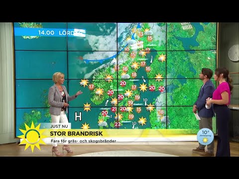 Varning för stor brandrisk – bor du här bör du vara extra försiktig - Nyhetsmorgon (TV4)
