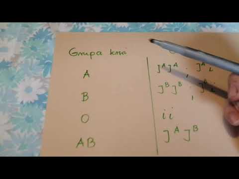 Dziedziczenie grupy krwi Biologia klasa 8.