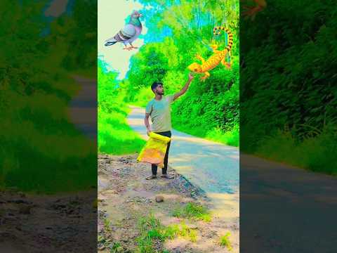 25July Flying cute baby patlu, chipkali,, dancing bhabhi special effects new creativity #yt #shorts