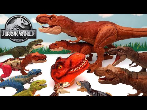 My Tyrannosaurus Rex Dinosaur Collection With Jurassic World! T-Rex Dinosaurs