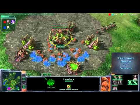 Starcraft 2 SC4D #14 -  Roach Hydra vs Toss