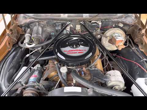 1972 Oldsmobile Vista Cruiser (CC-1508006) for sale in Winter Garden, Florida