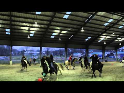 Cowboy Polo - SSHBEA Winter Warm Up 2014 United We Stand Show 