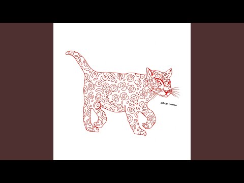 Warm Night - The Concretes
