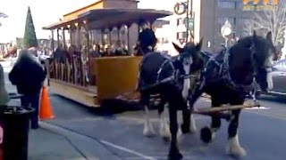 preview picture of video 'Clydesdale Horse-Drawn Trolley, Main St., Belleville, IL'