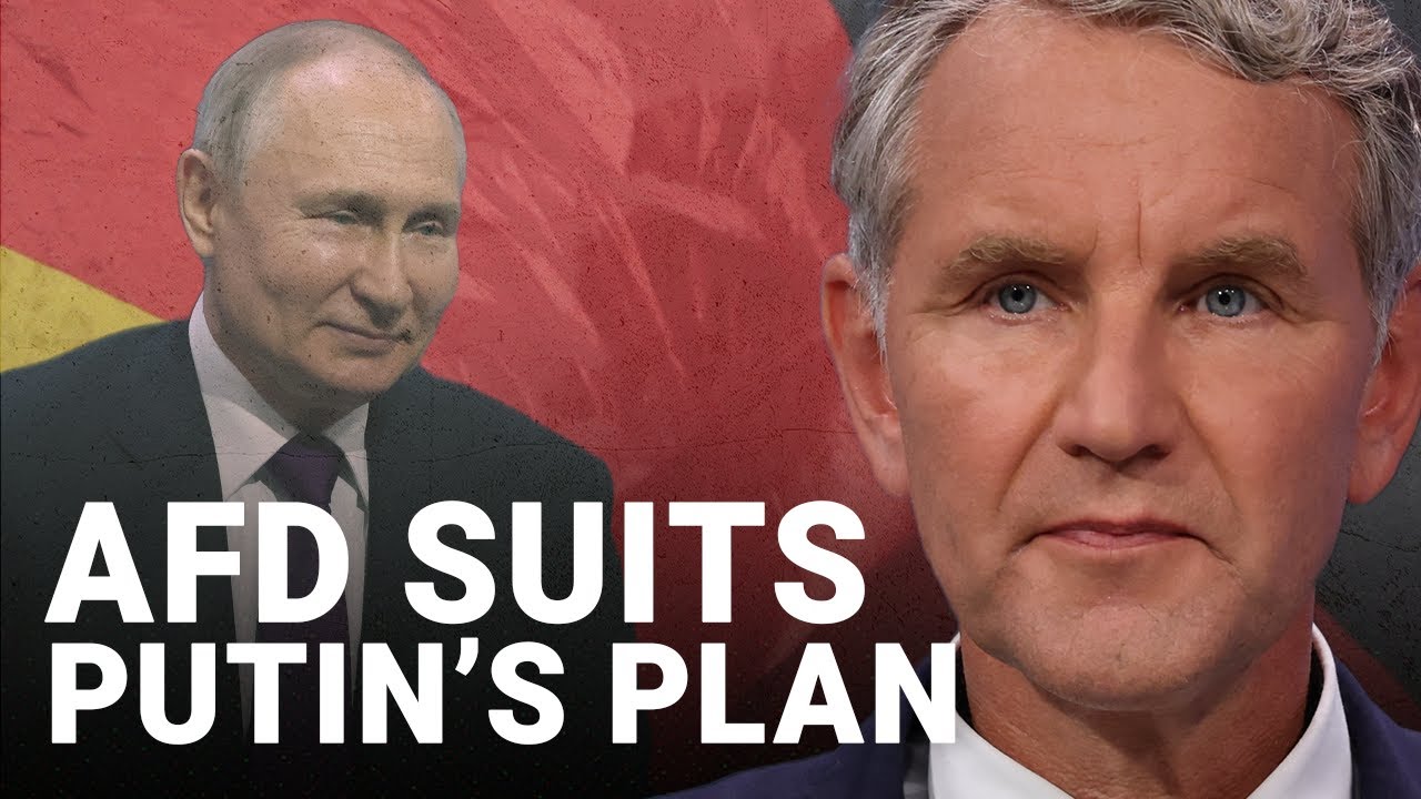 Germany’s AfD are serving Putin’s plans ‘very nicely’ | World in 10