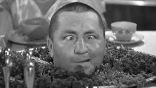 top 10 funniest three stooges moment