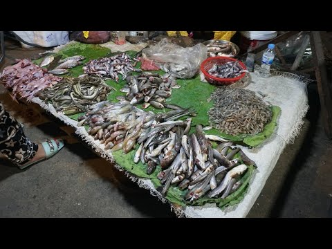 Night Street Food Near Garment Factory - Amazing Cheap Food Selling at Night (Phsa Sam Hanh)