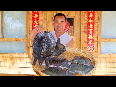 Uncle rural made marinated Chinese Softshell Turtle｜Uncle Rural Gourmet