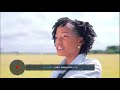 Lady Aika Simple Busy And Faith
