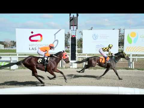 230714 C02 - EOLO BLADE - HIPODROMO LAS PIEDRAS